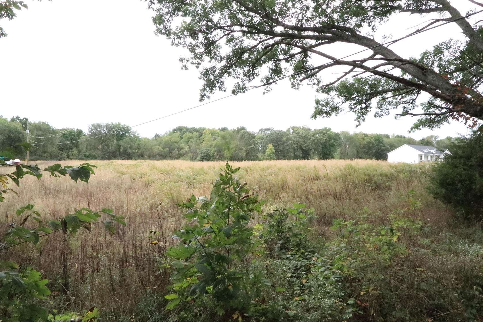 2 Acres of Residential Land for Sale in Alto, Michigan