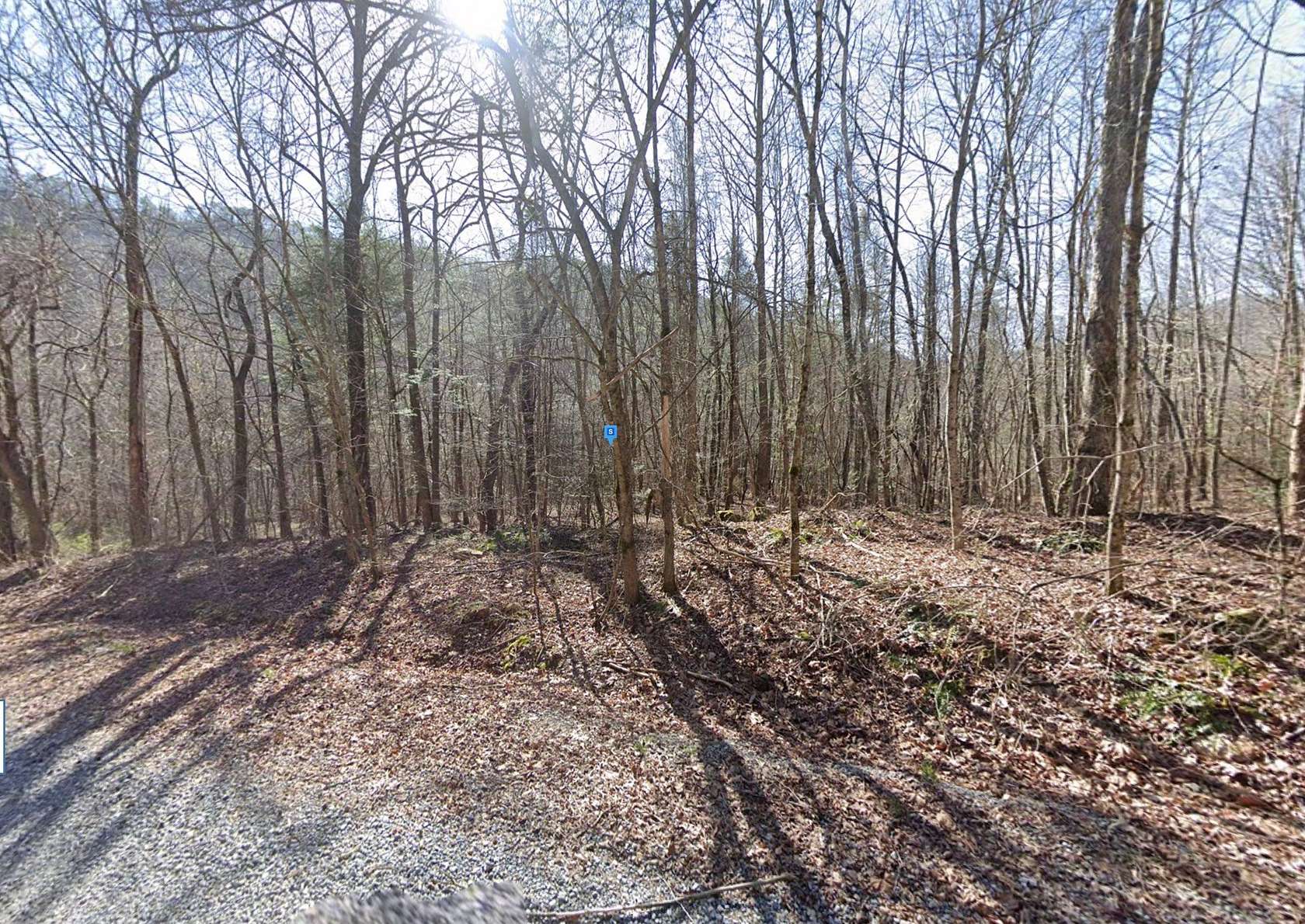 1 Acre of Residential Land for Sale in Del Rio, Tennessee