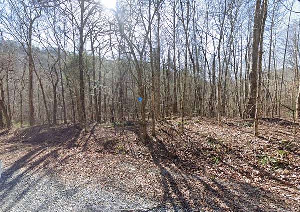 1 Acre of Residential Land for Sale in Del Rio, Tennessee