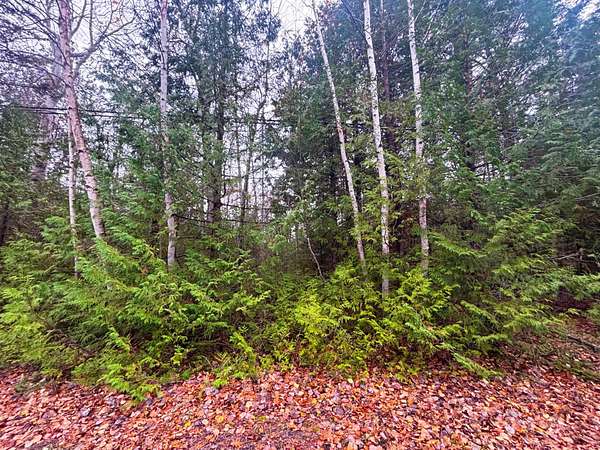 0.35 Acres of Residential Land for Sale in Presque Isle, Michigan