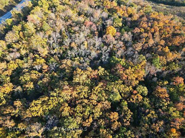 18 Acres of Land for Sale in Marshall, Arkansas