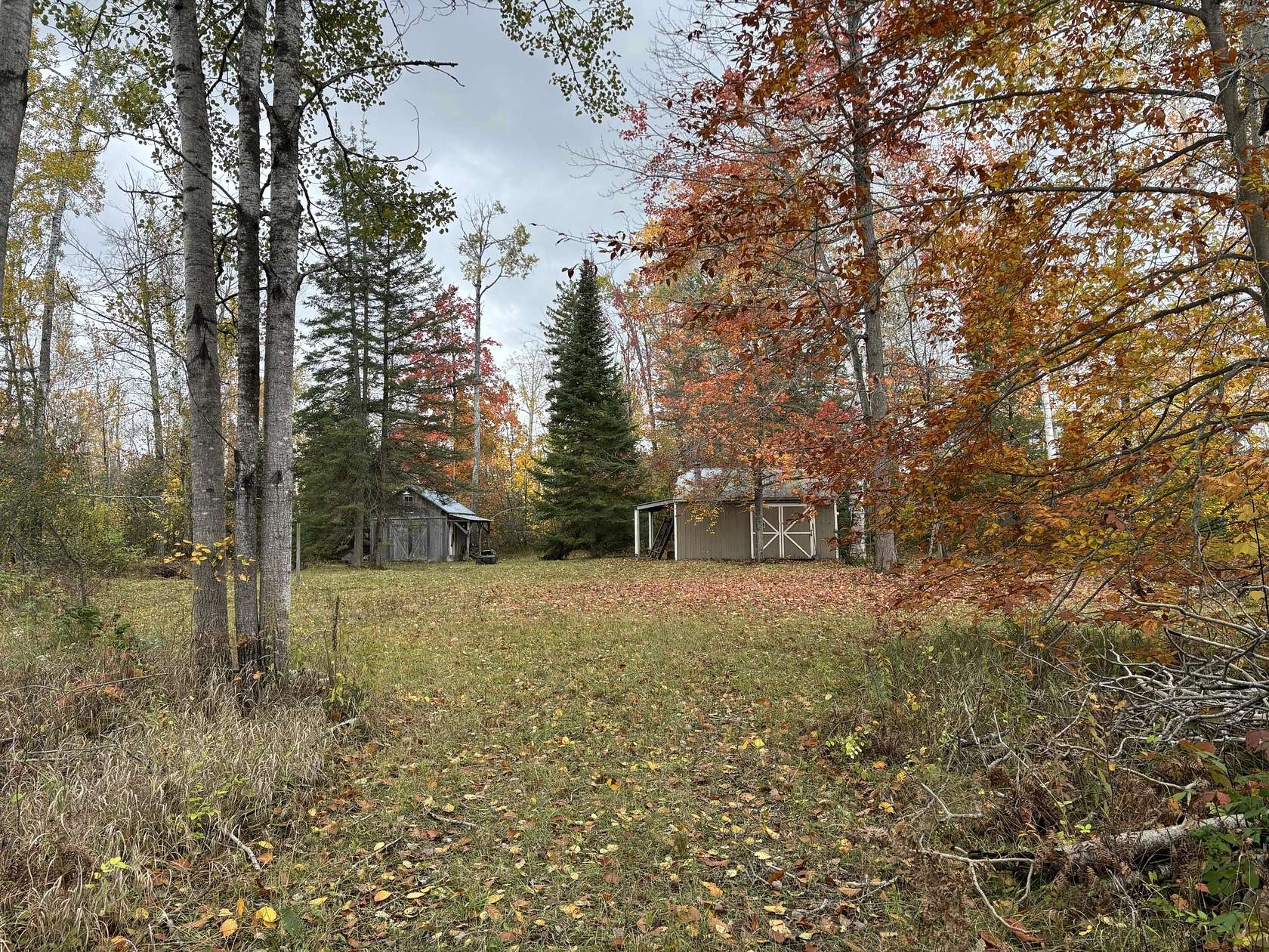 26 Acres of Recreational Land for Sale in Rogers City, Michigan