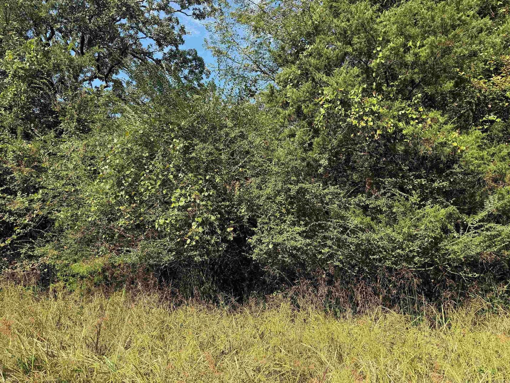 70 Acres of Recreational Land for Sale in Cove, Arkansas