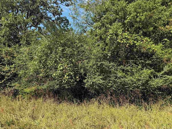 70 Acres of Recreational Land for Sale in Cove, Arkansas