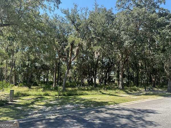 0.24 Acres of Residential Land for Sale in Waverly, Georgia