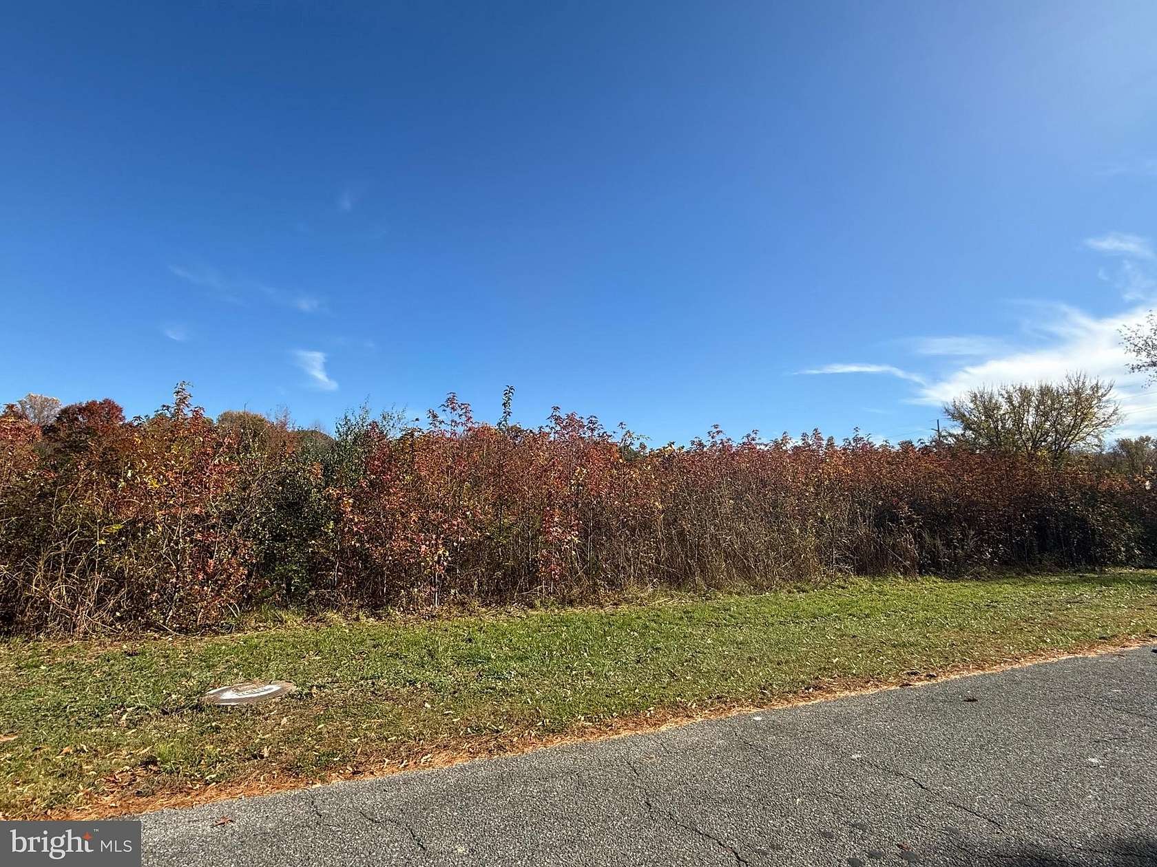 2.74 Acres of Residential Land for Sale in Salem, New Jersey