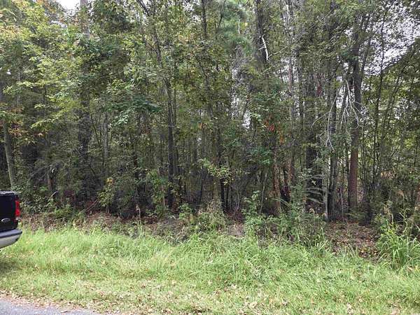 0.3 Acres of Residential Land for Sale in Kingstree, South Carolina