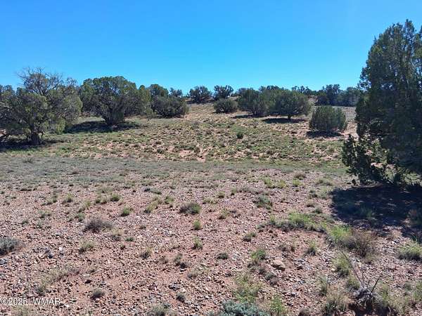 9.1 Acres of Residential Land for Sale in Concho, Arizona