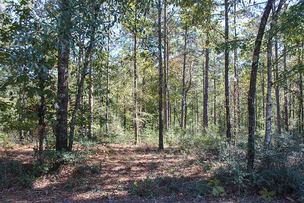 2.56 Acres of Residential Land for Sale in Petal, Mississippi