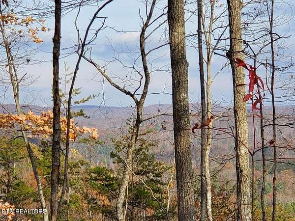 15 Acres of Recreational Land for Sale in Huntsville, Tennessee