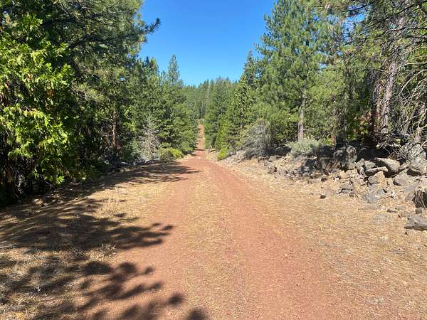1 Acre of Residential Land for Sale in Alturas, California