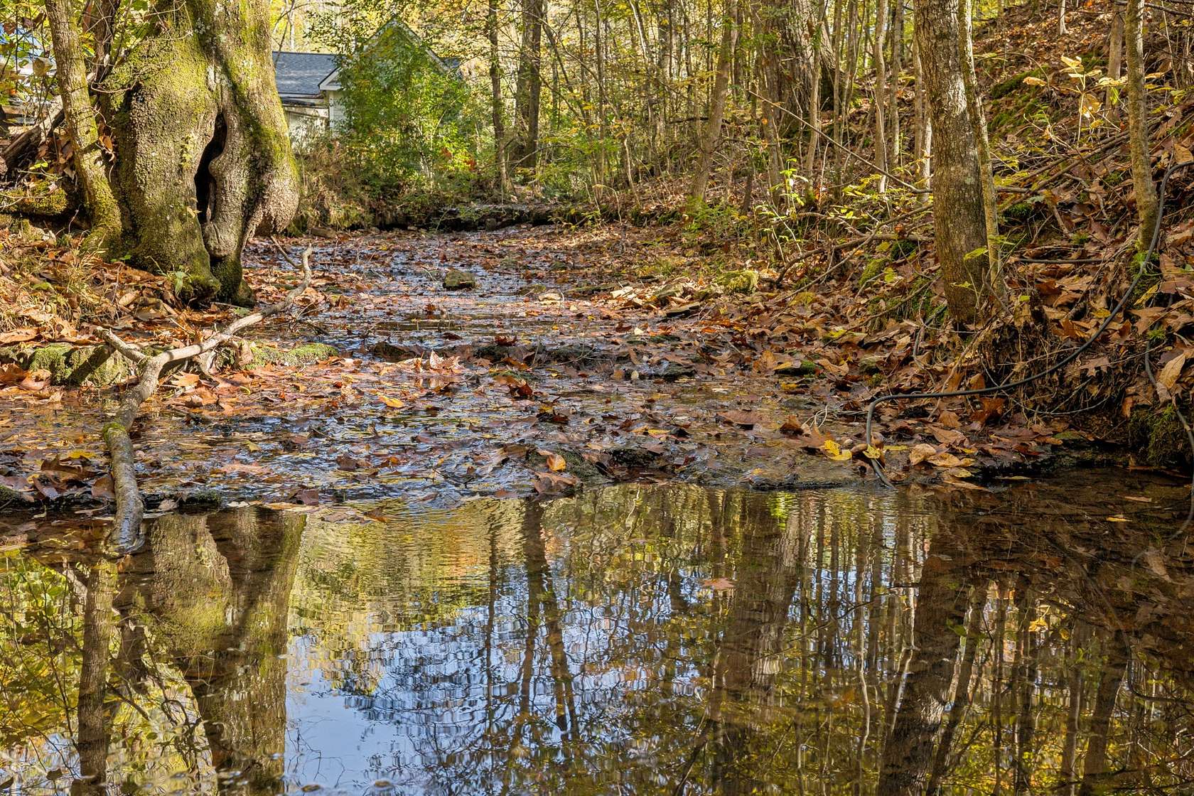 19.6 Acres of Land for Sale in Primm Springs, Tennessee