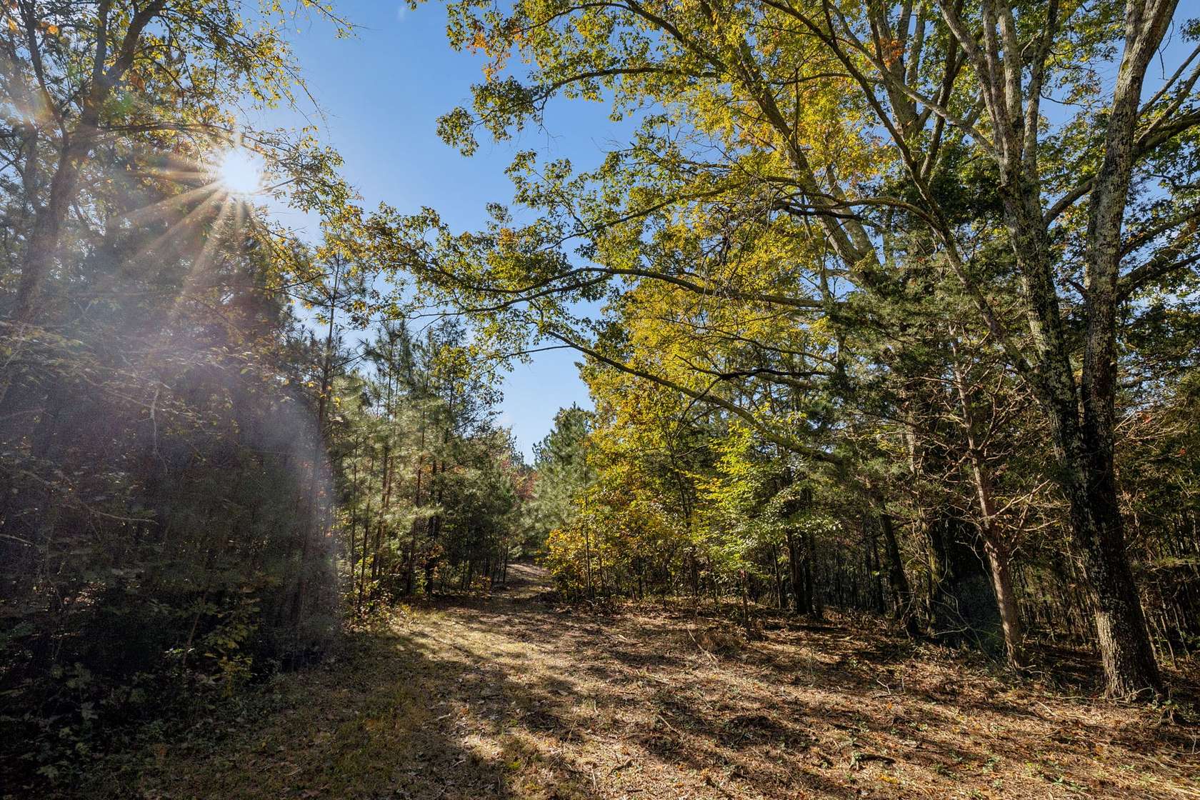 19.6 Acres of Land for Sale in Primm Springs, Tennessee