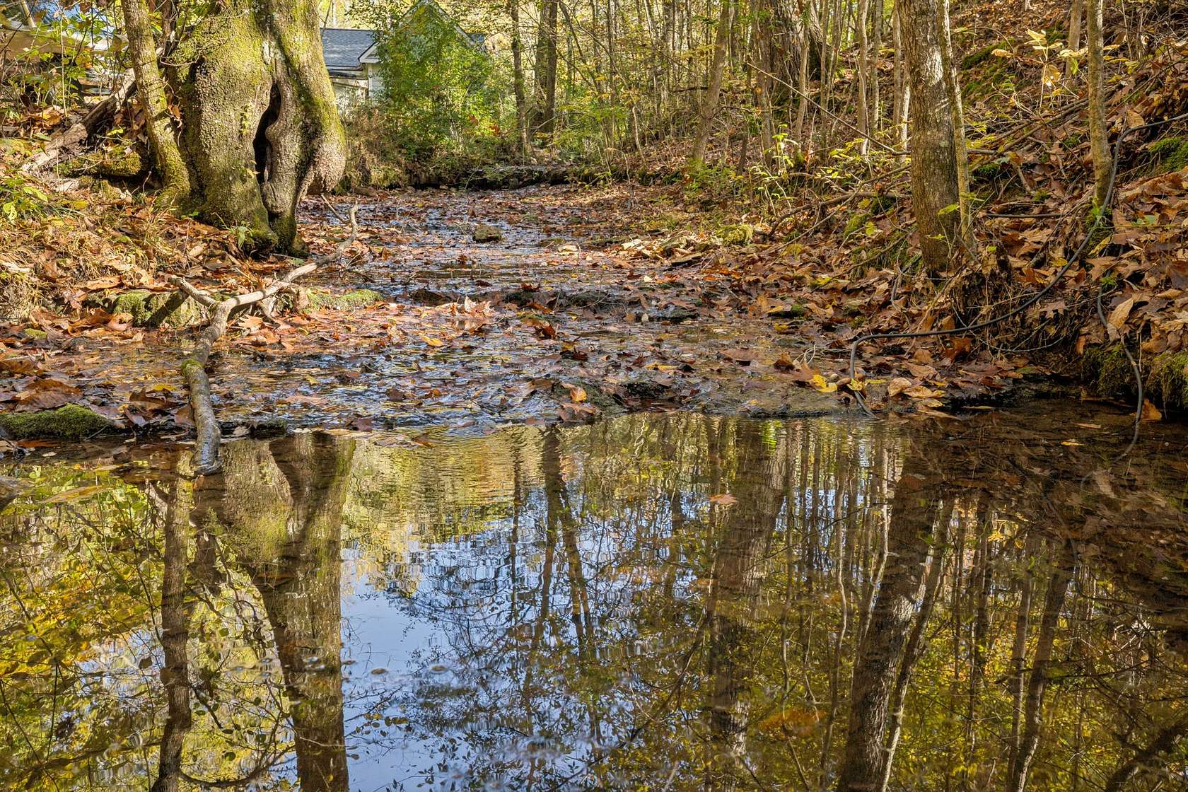 19.6 Acres of Land for Sale in Primm Springs, Tennessee