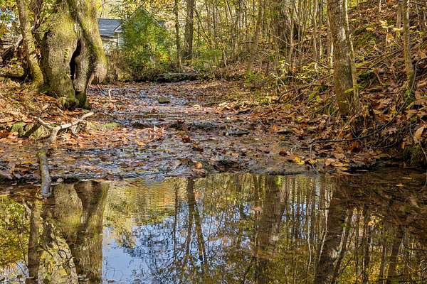 19.6 Acres of Land for Sale in Primm Springs, Tennessee