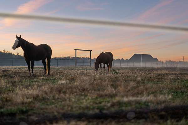 75.8 Acres of Agricultural Land with Home for Sale in Rockvale, Tennessee