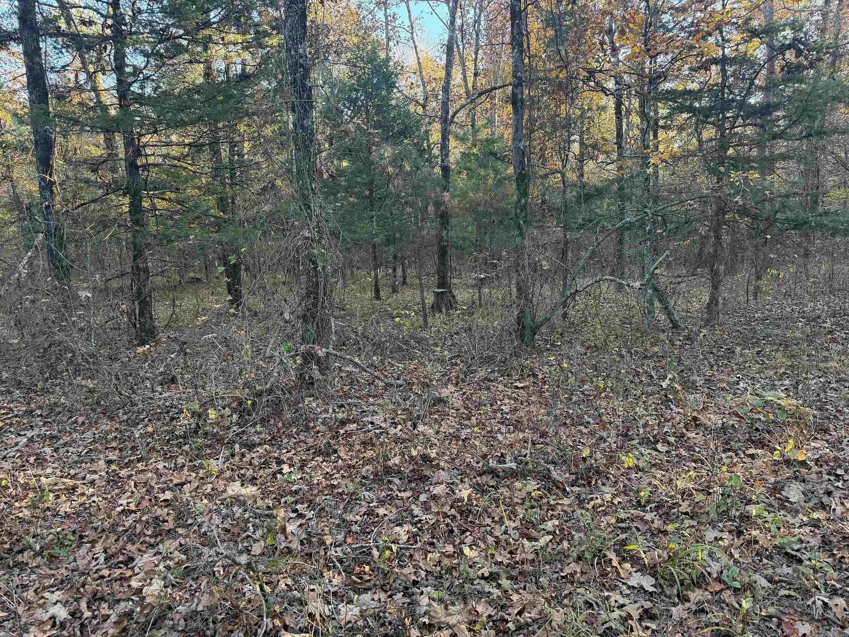 11 Acres of Land for Sale in Cove, Arkansas