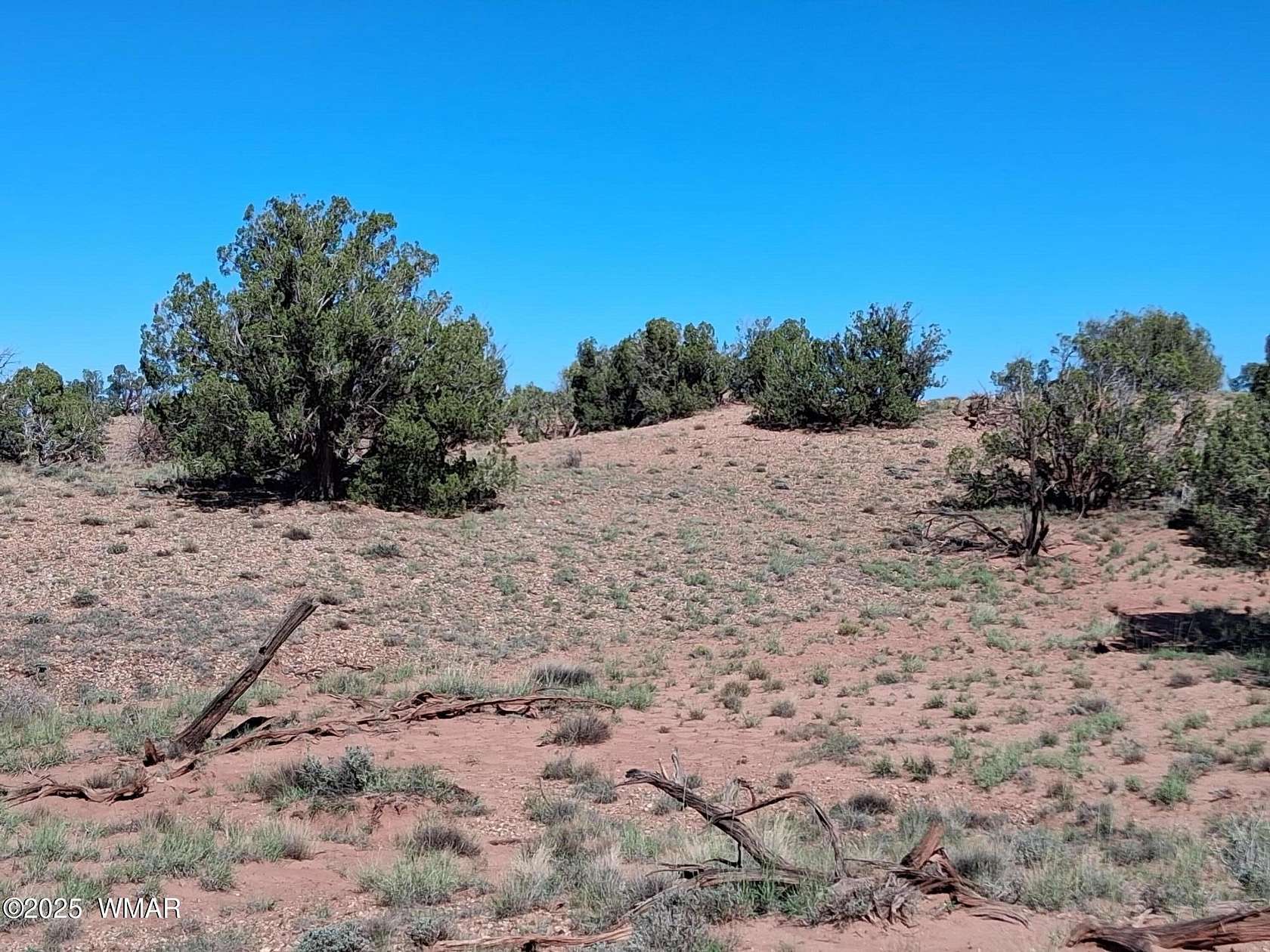 9.1 Acres of Land for Sale in Concho, Arizona