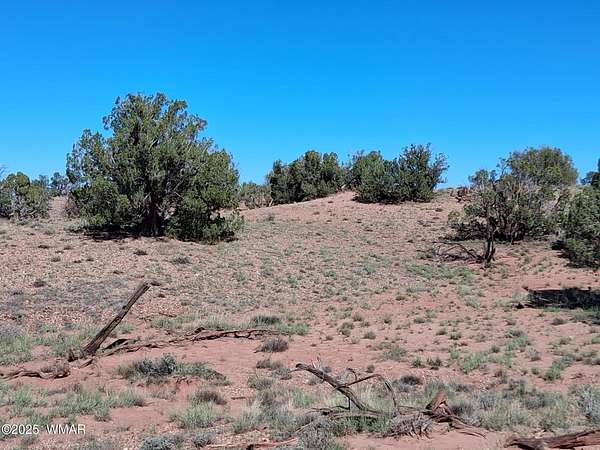 9.1 Acres of Land for Sale in Concho, Arizona