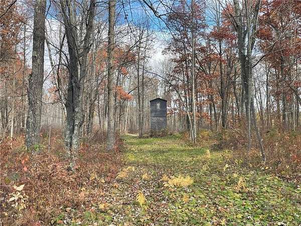 39.7 Acres of Recreational Land for Sale in Mission Township, Minnesota