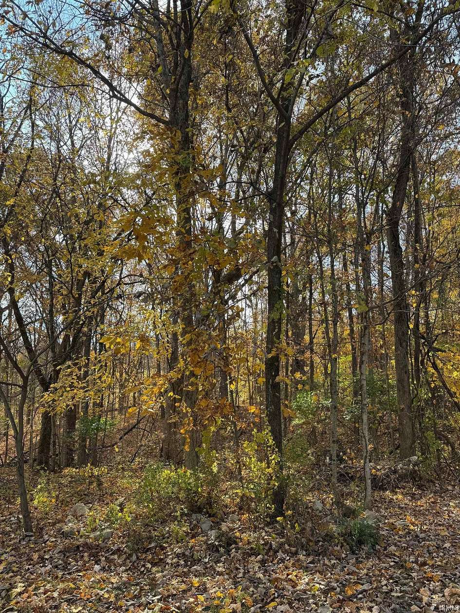 0.36 Acres of Residential Land for Sale in Bloomington, Indiana