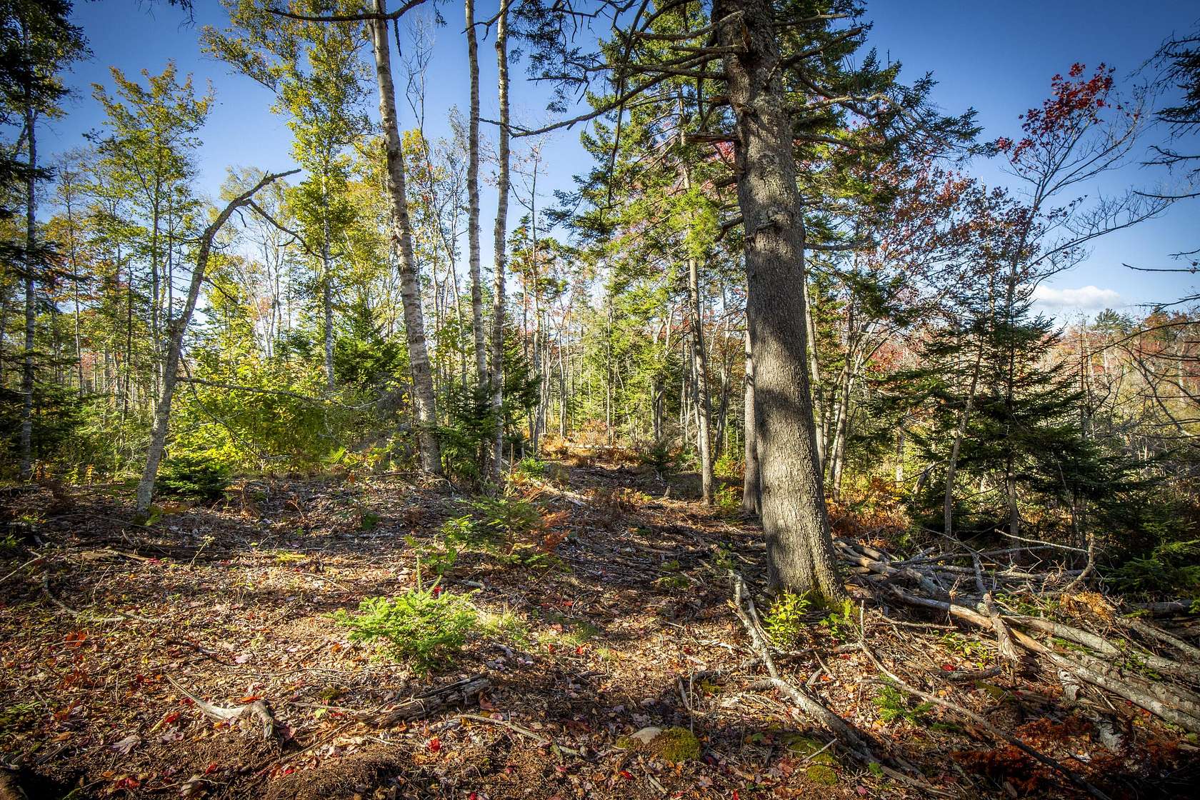 4.59 Acres of Residential Land for Sale in Bristol, Maine