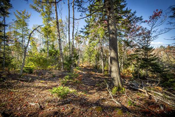4.59 Acres of Residential Land for Sale in Bristol, Maine