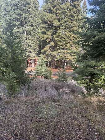 0.46 Acres of Residential Land for Sale in Lake Almanor Country Club, California