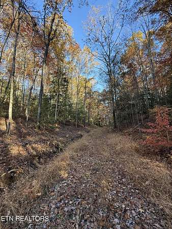 6.25 Acres of Residential Land for Sale in Turtletown, Tennessee