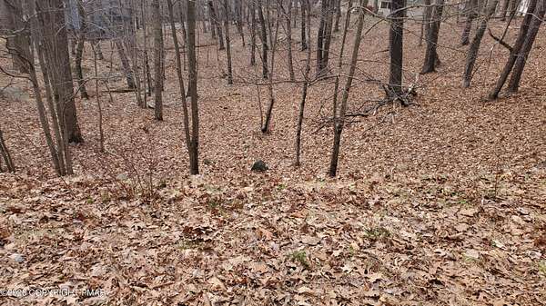 0.38 Acres of Residential Land for Sale in Bushkill, Pennsylvania