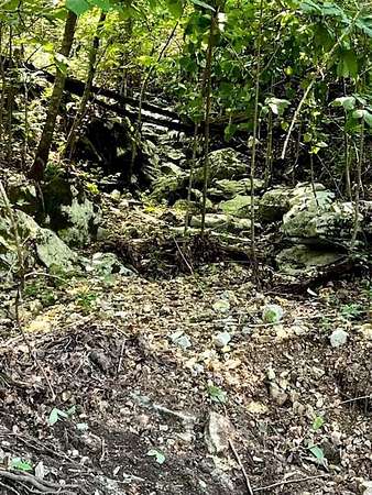 18 Acres of Recreational Land for Sale in Yellville, Arkansas