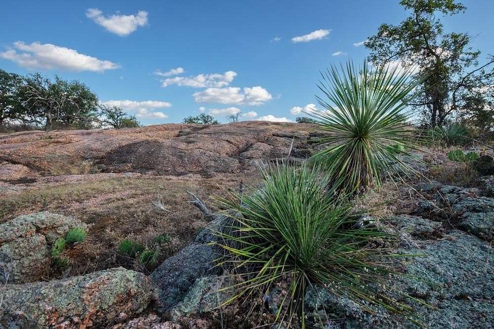 171 Acres of Land for Sale in Mason, Texas