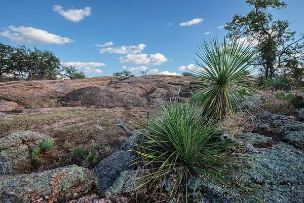 171 Acres of Land for Sale in Mason, Texas