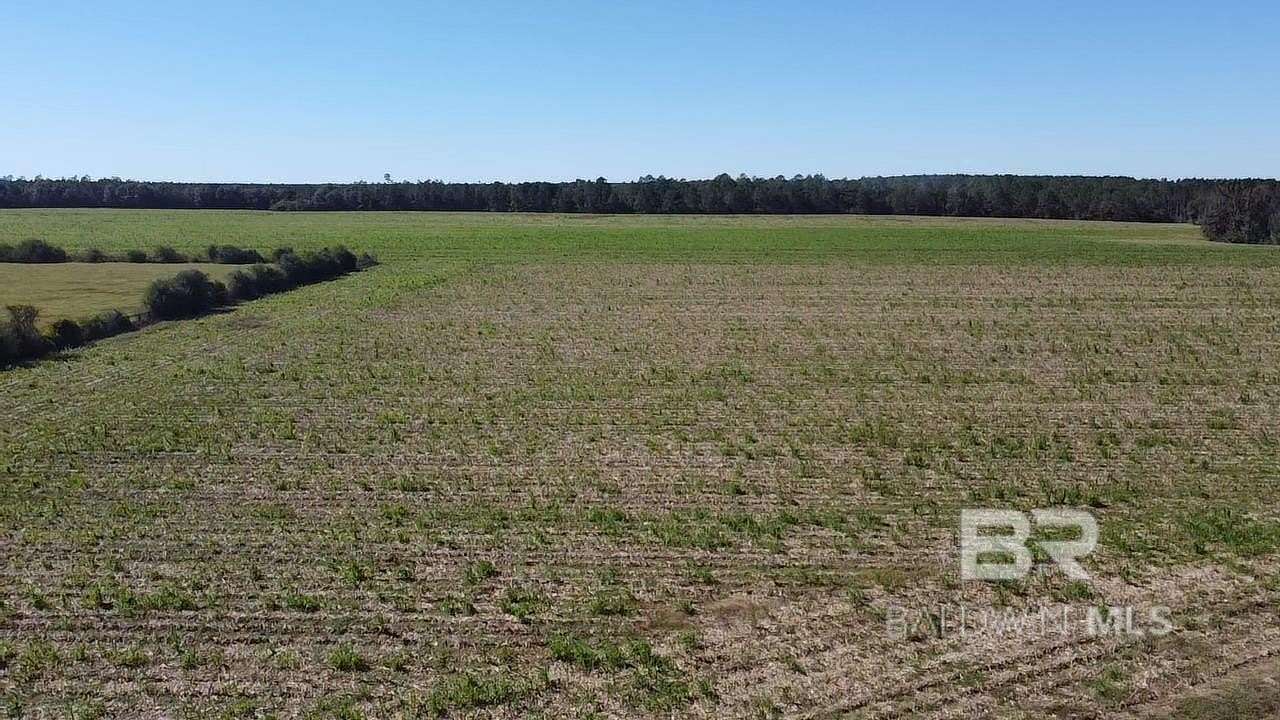 102 Acres of Agricultural Land for Sale in Walnut Hill, Florida