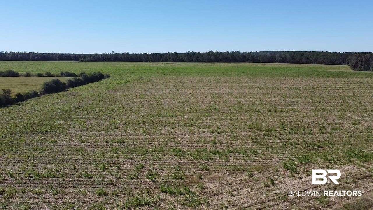 102 Acres of Agricultural Land for Sale in Walnut Hill, Florida