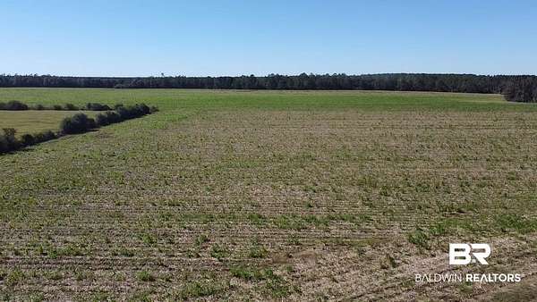 102 Acres of Agricultural Land for Sale in Walnut Hill, Florida