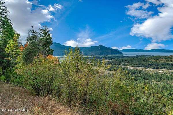 11.2 Acres of Land for Sale in Clark Fork, Idaho