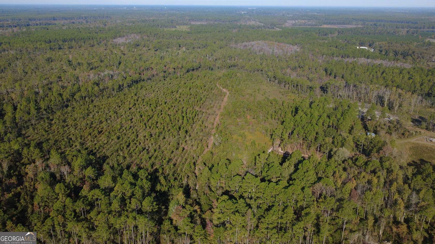 16.6 Acres of Recreational Land for Sale in Homerville, Georgia