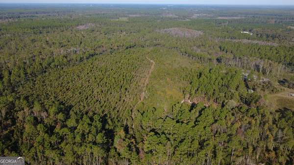 16.6 Acres of Recreational Land for Sale in Homerville, Georgia