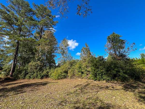 20 Acres of Recreational Land for Sale in Votaw, Texas