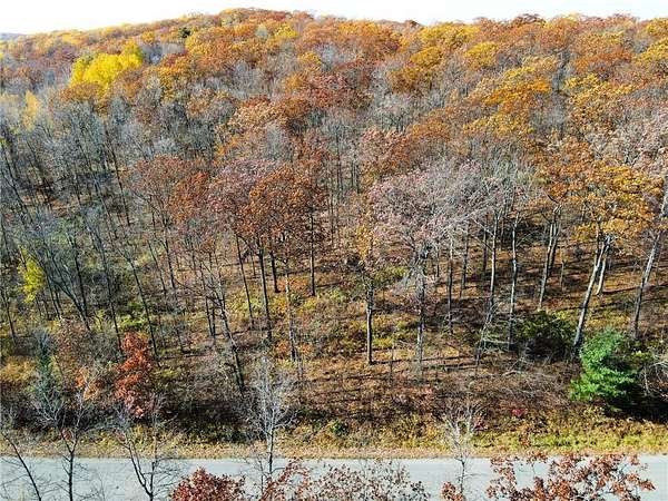 10 Acres of Land for Sale in Birchwood, Wisconsin