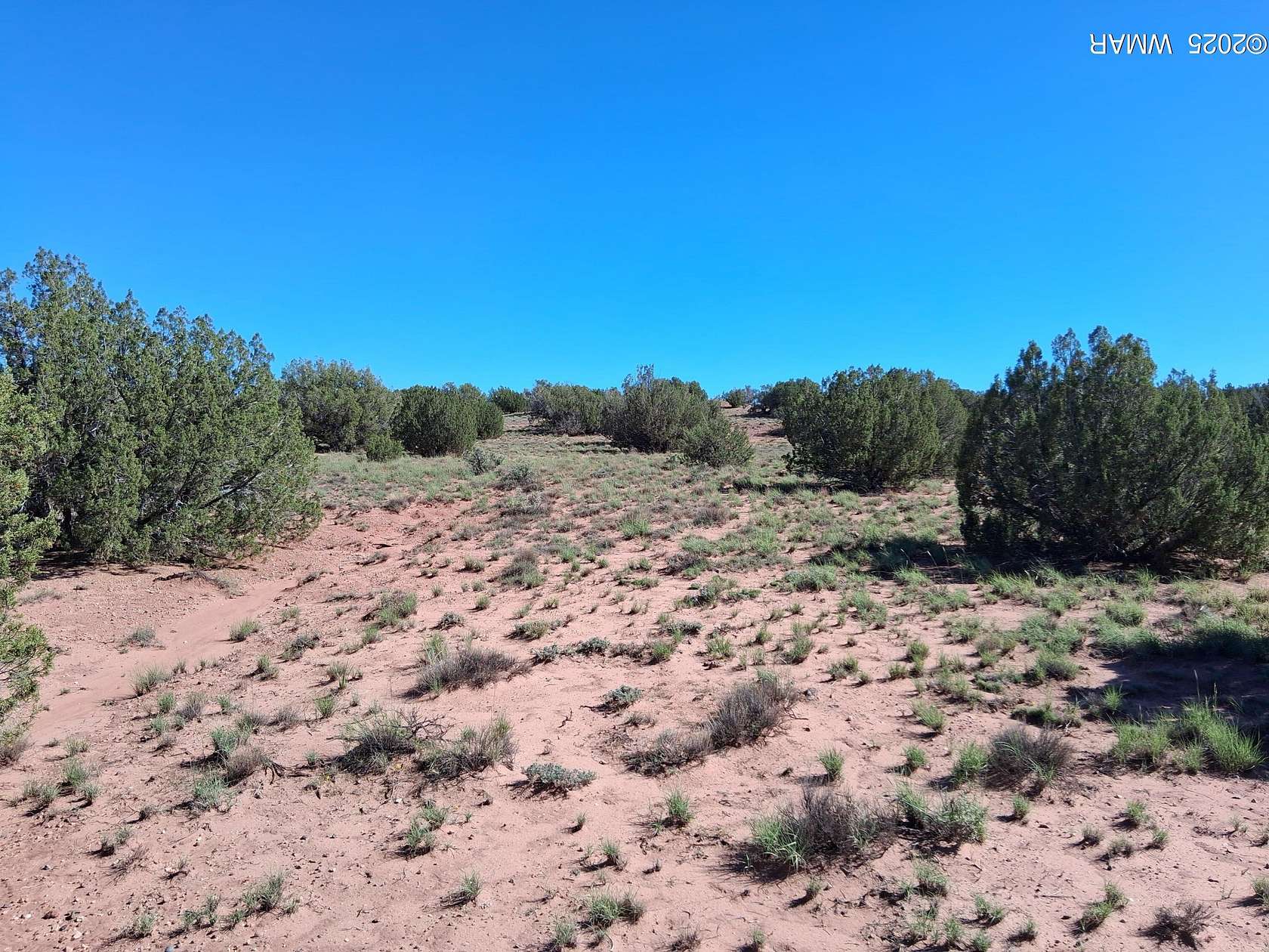 10.1 Acres of Land for Sale in Concho, Arizona