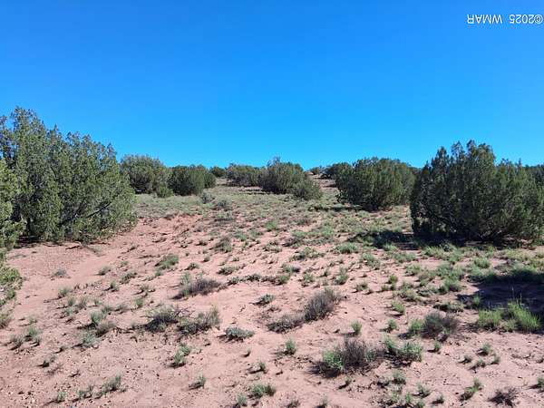 10.1 Acres of Land for Sale in Concho, Arizona