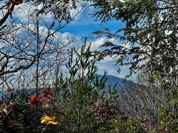 4 Acres of Residential Land for Sale in Glenville, North Carolina