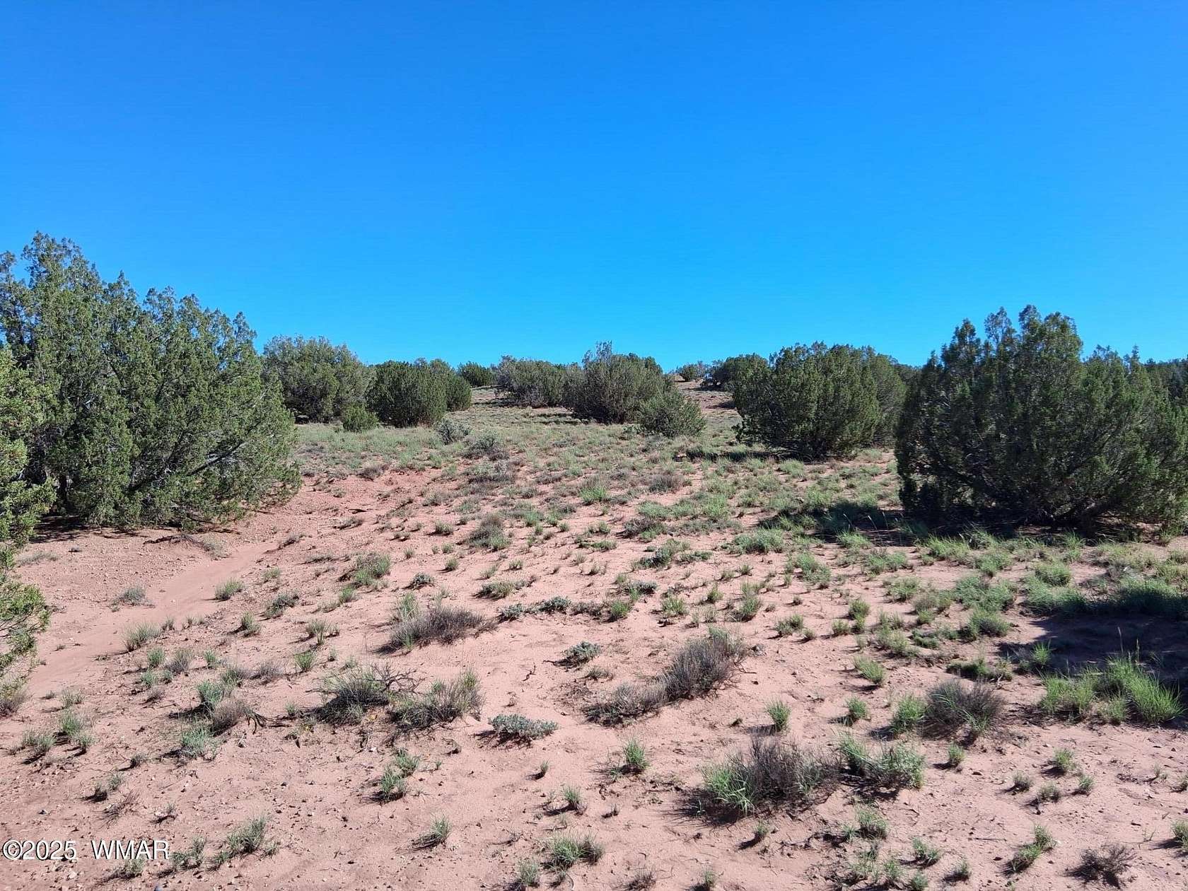 10.1 Acres of Land for Sale in Concho, Arizona