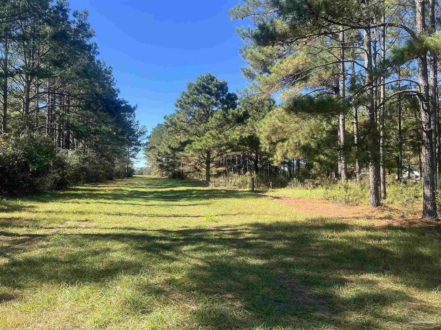 84 Acres of Recreational Land & Farm for Sale in Walnut Hill, Florida