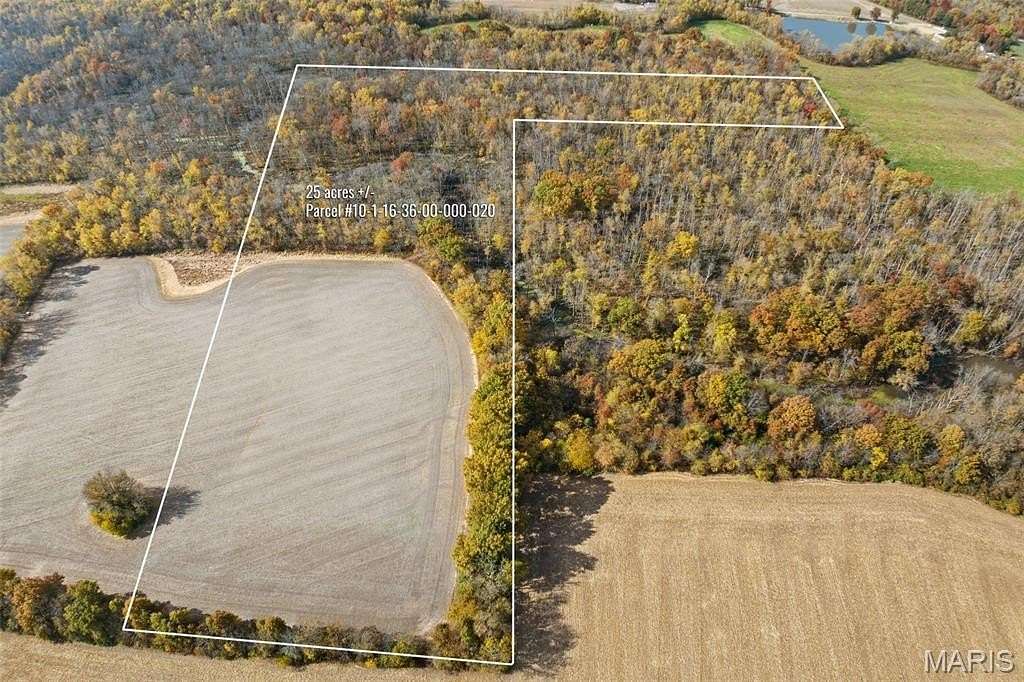 25 Acres of Land for Sale in St. Jacob, Illinois