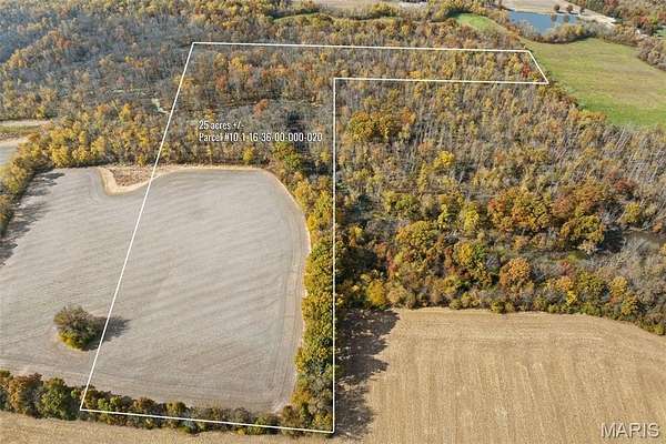25 Acres of Land for Sale in St. Jacob, Illinois