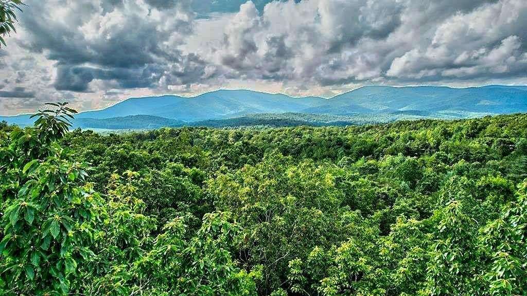 17.7 Acres of Land for Sale in Ellijay, Georgia