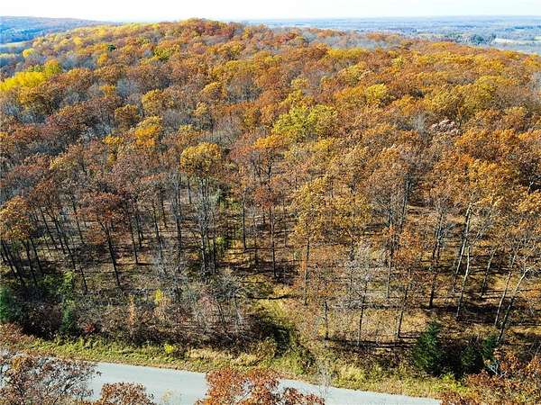 10 Acres of Land for Sale in Birchwood, Wisconsin